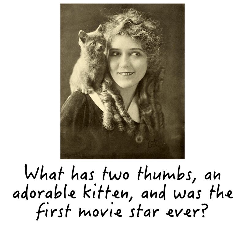 What has two thumbs, an adorable kitten, and was the first movie star ever?